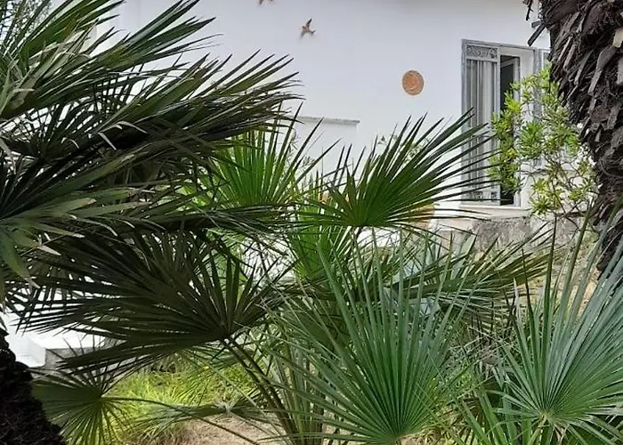 Σπίτι διακοπών Grillo Allegro *