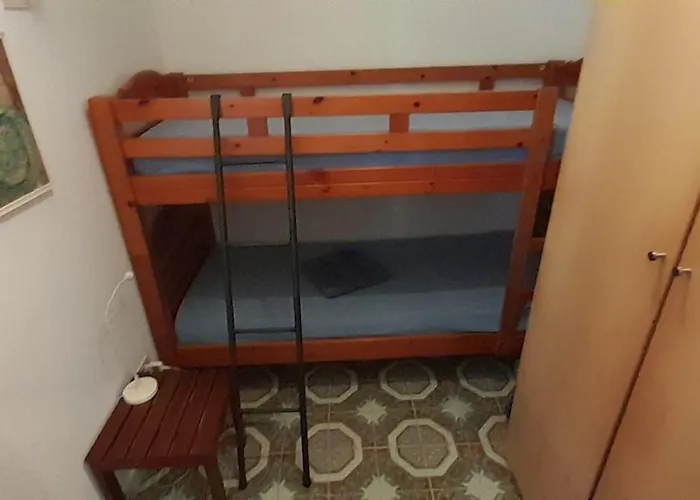 Grillo Allegro Terracina